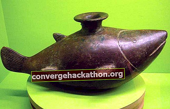 vaso de cerâmica em forma de tubarão
