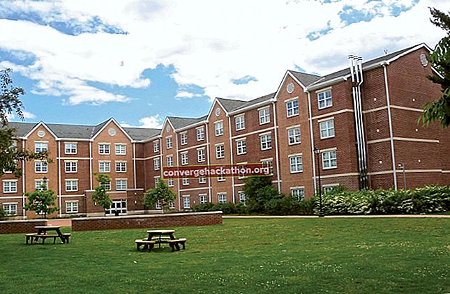 Universitas Fairleigh Dickinson