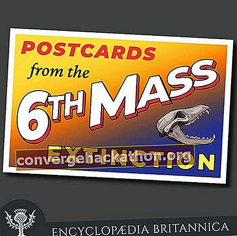 „Пощенски картички от 6-то масово изчезване“