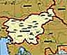 Словения.  Политическа карта: граници, градове.  Включва локатор.