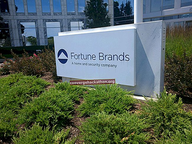 Fortune Brands, Inc.