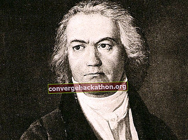 Ludwig van Beethoven (1770-1827), tysk kompositör;  odaterad litografi.