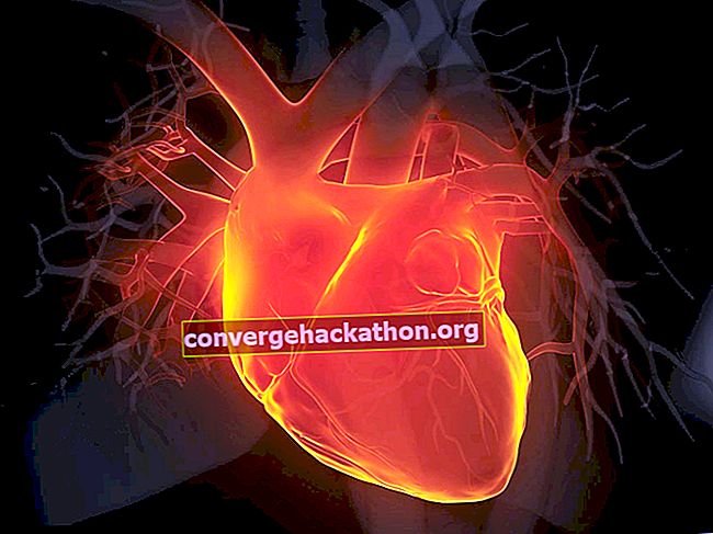 Ilustración 3d corazón humano.  Anatomía del adulto Aorta Vaso sanguíneo negro Sistema cardiovascular Arteria coronaria Seno coronario Vista frontal Arteria humana brillante Corazón humano Órgano interno humano Radiografía médica Miocardio