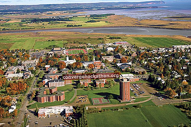 Universiti Acadia