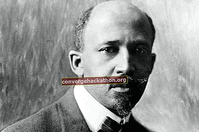 WEB Du Bois om afroamerikansk litteratur