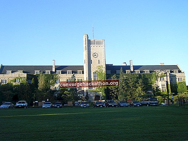 Університет Гвельфа