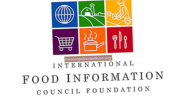 Conseil mondial de l'alimentation