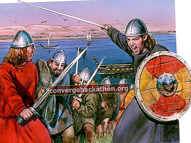 Викинги.  Викингските воини държат мечове и щитове.  9-ти век  Морските воини от н.е. нахлуха по бреговете на Европа, изгаряйки, ограбвайки и убивайки.  Мародери или пирати идват от Скандинавия, сега Дания, Норвегия и Швеция.  Европейска история