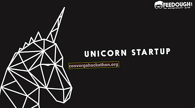 Unicorn Start-up Fenomeni