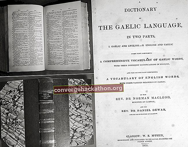 Ordbok för det irländska språket