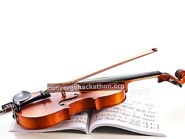 Цигулка върху нотни листове.  (музикален инструмент)