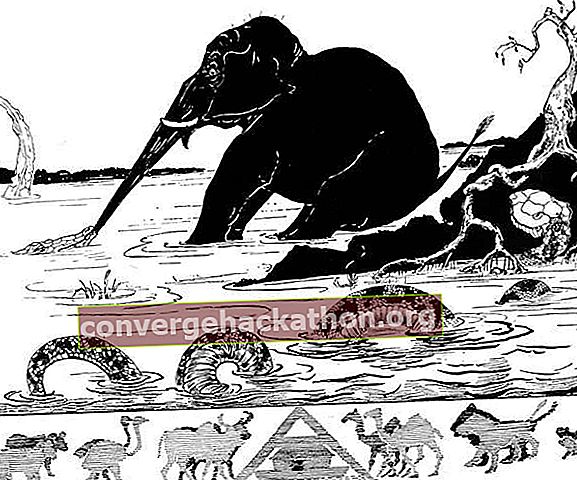 Rudyard Kiplings illustration för ”Elefantens barn” från Just So Stories (1902).
