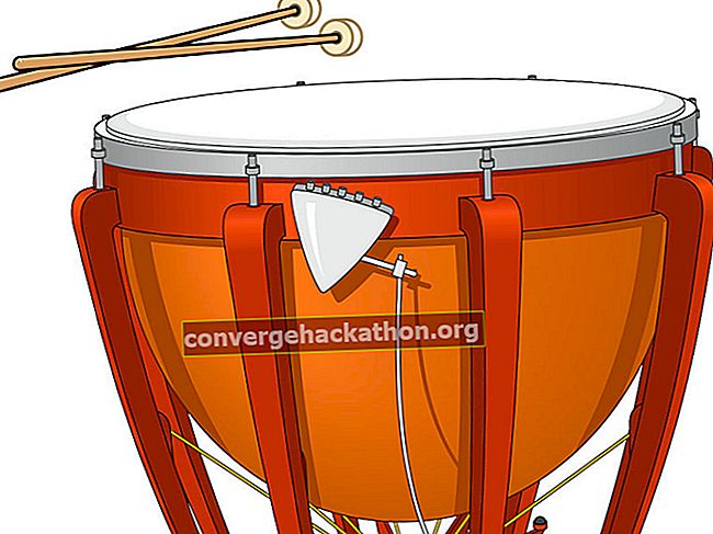 Timbales, ou kettledrum, et baguettes.  Instrument de musique, instrument de percussion, peau de tambour, timbale, tympan, tympan, membranophone, instrument d'orchestre.